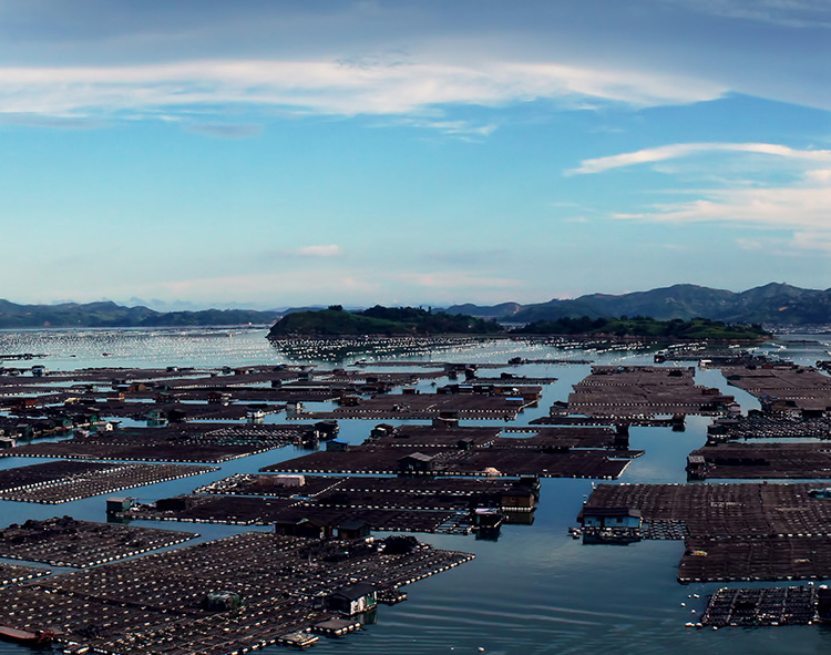 養殖場沼氣.jpg